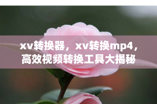xv转换器，xv转换mp4，高效视频转换工具大揭秘