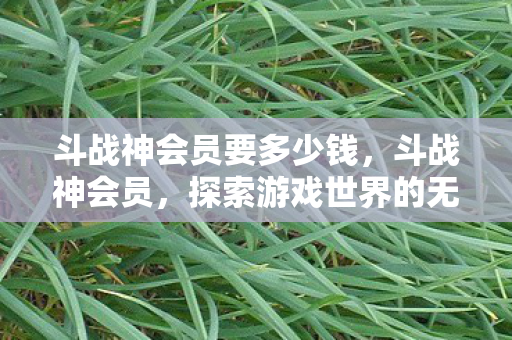 斗战神会员要多少钱，斗战神会员，探索游戏世界的无限可能