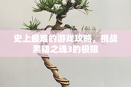 史上最难的游戏攻略，挑战黑暗之魂3的极限