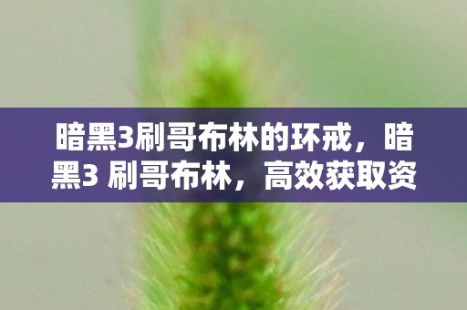 暗黑3刷哥布林的环戒，暗黑3 刷哥布林，高效获取资源的策略与技巧