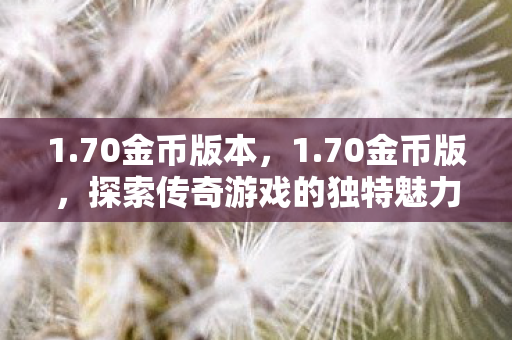 1.70金币版本，1.70金币版，探索传奇游戏的独特魅力