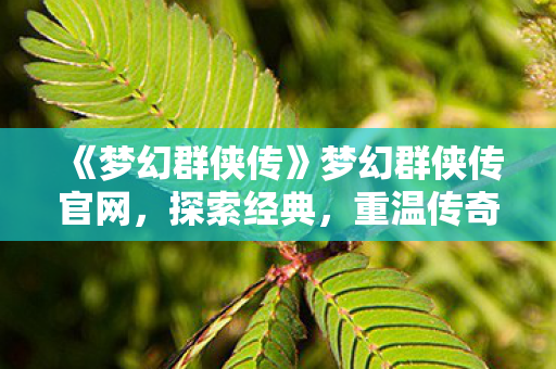 《梦幻群侠传》梦幻群侠传官网，探索经典，重温传奇