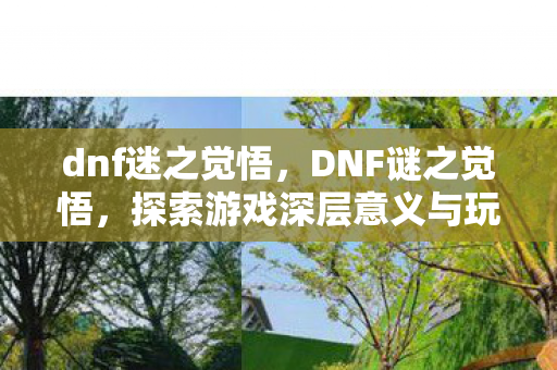 dnf迷之觉悟，DNF谜之觉悟，探索游戏深层意义与玩家心理