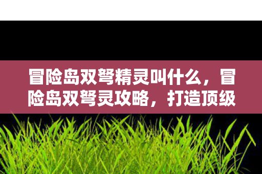 冒险岛双弩精灵叫什么，冒险岛双弩灵攻略，打造顶级角色的全面指南