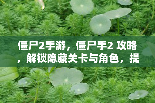 僵尸2手游，僵尸手2 攻略，解锁隐藏关卡与角色，提升游戏胜率