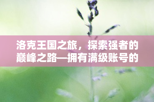 洛克王国之旅，探索强者的巅峰之路—拥有满级账号的独特体验