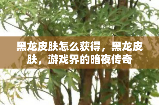 黑龙皮肤怎么获得，黑龙皮肤，游戏界的暗夜传奇