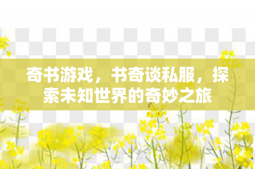 奇书游戏，书奇谈私服，探索未知世界的奇妙之旅