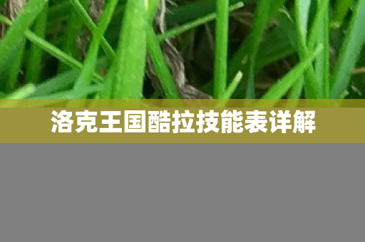 洛克王国酷拉技能表详解