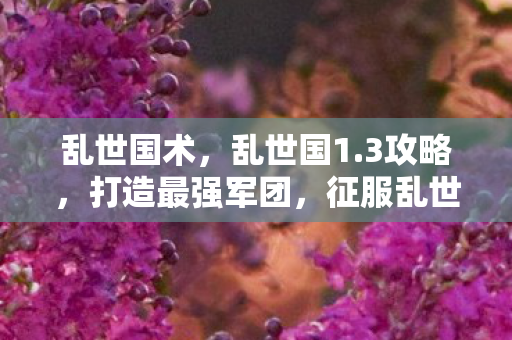 乱世国术，乱世国1.3攻略，打造最强军团，征服乱世天下