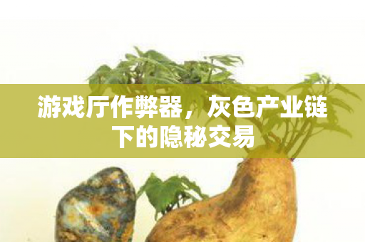 游戏厅作弊器，灰色产业链下的隐秘交易