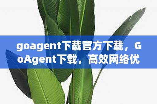 goagent下载官方下载，GoAgent下载，高效网络优化工具的选择与体验