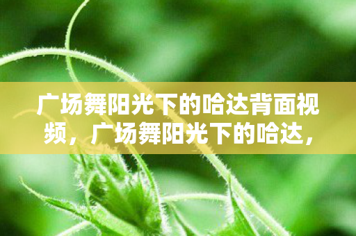 广场舞阳光下的哈达背面视频，广场舞阳光下的哈达，城市生活的温馨乐章