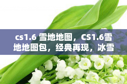 cs1.6 雪地地图，CS1.6雪地地图包，经典再现，冰雪世界的战斗体验