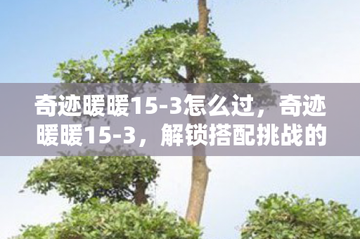 奇迹暖暖15-3怎么过，奇迹暖暖15-3，解锁搭配挑战的新高度