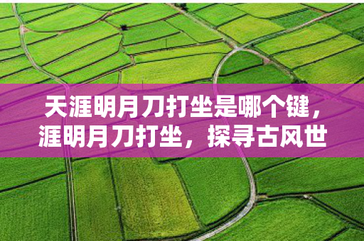 天涯明月刀打坐是哪个键，涯明月刀打坐，探寻古风世界的静谧之道