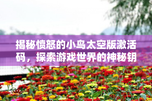 揭秘愤怒的小鸟太空版激活码，探索游戏世界的神秘钥匙