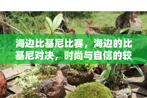 海边比基尼比赛，海边的比基尼对决，时尚与自信的较量