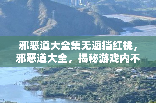 邪恶道大全集无遮挡红桃，邪恶道大全，揭秘游戏内不为人知的灰色技巧