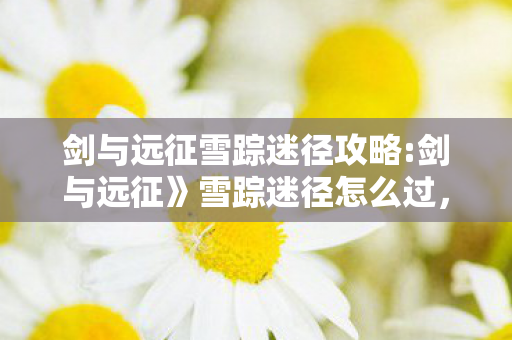 剑与远征雪踪迷径攻略:剑与远征》雪踪迷径怎么过，剑与远征雪踪迷径，探索未知世界的奇幻之旅