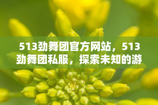 513劲舞团官方网站，513劲舞团私服，探索未知的游戏世界