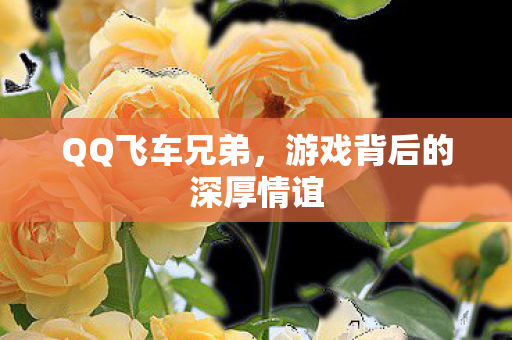 QQ飞车兄弟，游戏背后的深厚情谊