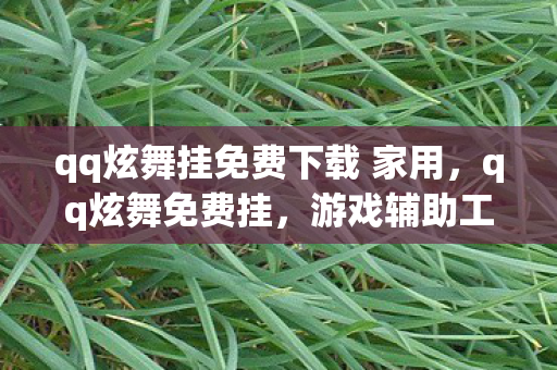 qq炫舞挂免费下载 家用，qq炫舞免费挂，游戏辅助工具的正确使用与注意事项