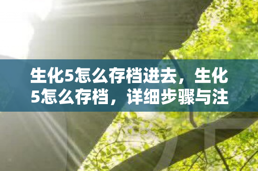 生化5怎么存档进去，生化5怎么存档，详细步骤与注意事项