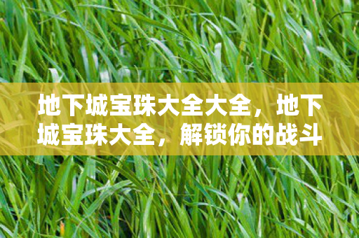 地下城宝珠大全大全，地下城宝珠大全，解锁你的战斗潜能