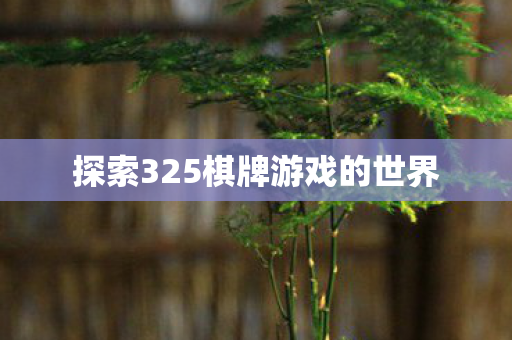 探索325棋牌游戏的世界