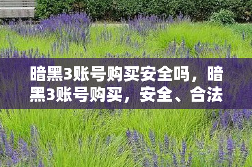 暗黑3账号购买安全吗，暗黑3账号购买，安全、合法与性价比的权衡