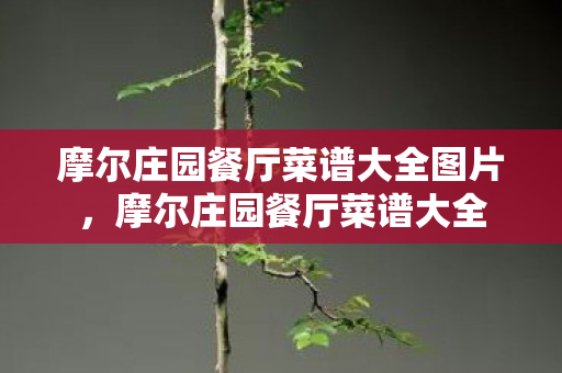 摩尔庄园餐厅菜谱大全图片，摩尔庄园餐厅菜谱大全