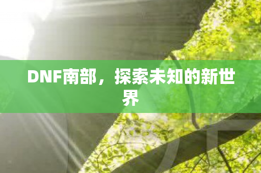 DNF南部，探索未知的新世界