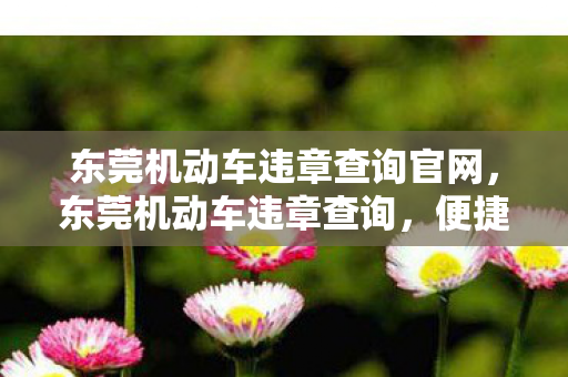 东莞机动车违章查询官网，东莞机动车违章查询，便捷、高效、安全的方式