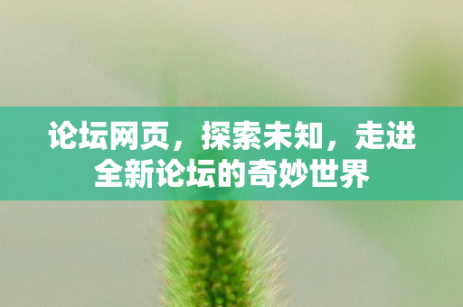 论坛网页，探索未知，走进全新论坛的奇妙世界
