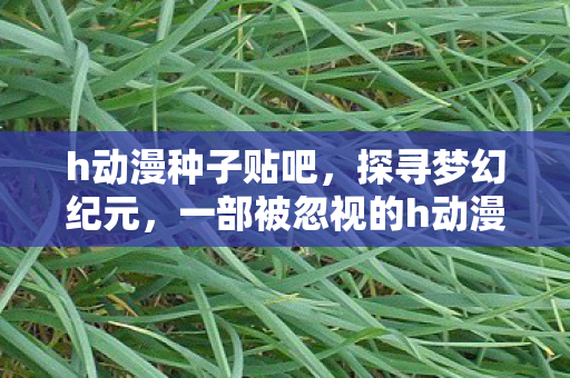 h动漫种子贴吧，探寻梦幻纪元，一部被忽视的h动漫佳作