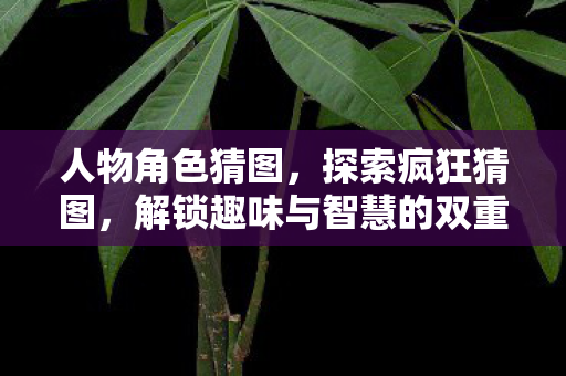 人物角色猜图，探索疯狂猜图，解锁趣味与智慧的双重挑战