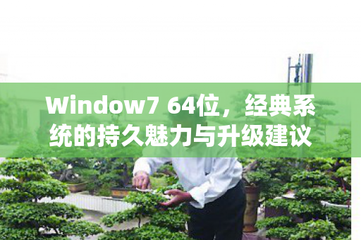 Window7 64位，经典系统的持久魅力与升级建议