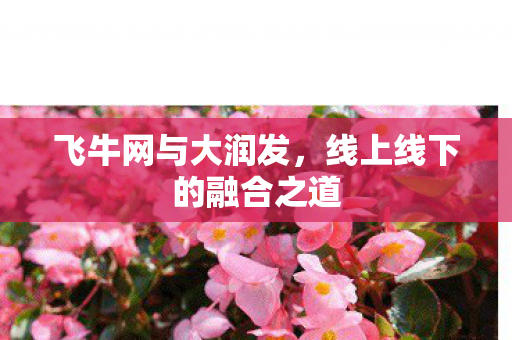 飞牛网与大润发，线上线下的融合之道