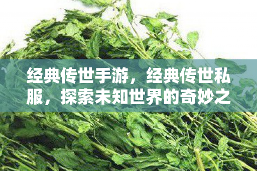 经典传世手游，经典传世私服，探索未知世界的奇妙之旅