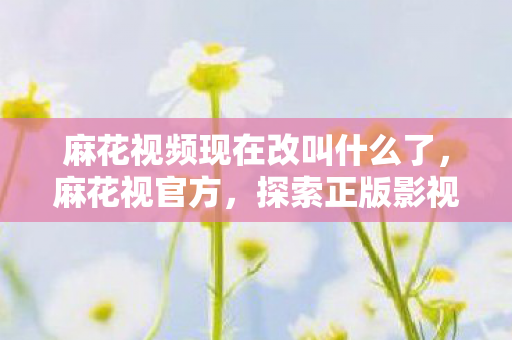 麻花视频现在改叫什么了，麻花视官方，探索正版影视的无限可能