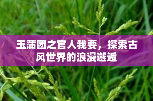 玉蒲团之官人我要，探索古风世界的浪漫邂逅