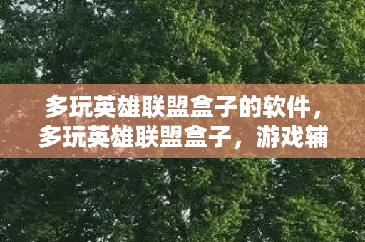 多玩英雄联盟盒子的软件，多玩英雄联盟盒子，游戏辅助工具的革新与未来