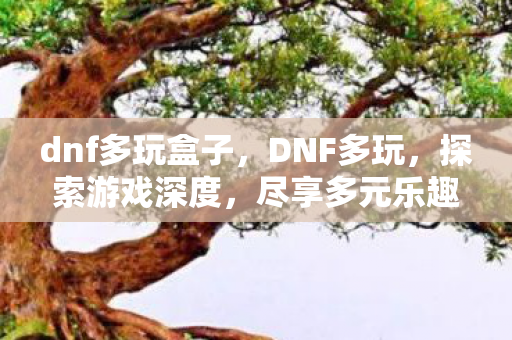 dnf多玩盒子，DNF多玩，探索游戏深度，尽享多元乐趣