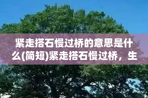 紧走搭石慢过桥的意思是什么(简短)紧走搭石慢过桥，生活中的智慧与哲理