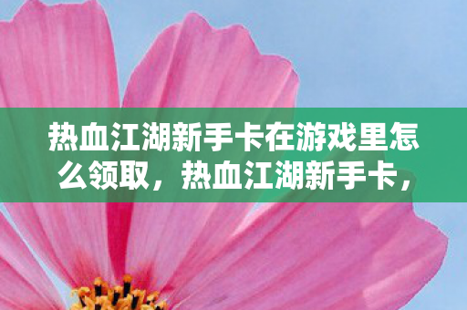 热血江湖新手卡在游戏里怎么领取，热血江湖新手卡，开启江湖之旅的必备神器
