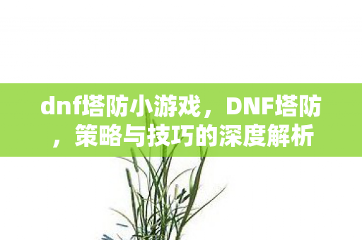 dnf塔防小游戏，DNF塔防，策略与技巧的深度解析