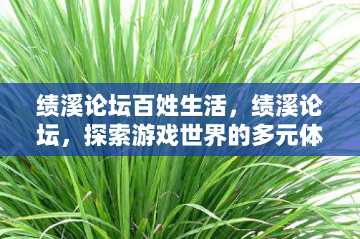 绩溪论坛百姓生活，绩溪论坛，探索游戏世界的多元体验与社区互动