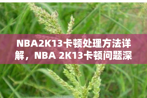 NBA2K13卡顿处理方法详解，NBA 2K13卡顿问题深度解析，优化与解决方案