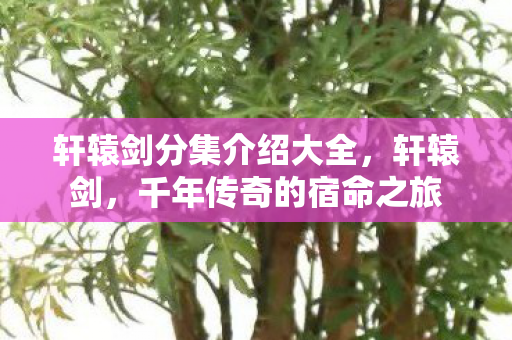 轩辕剑分集介绍大全，轩辕剑，千年传奇的宿命之旅